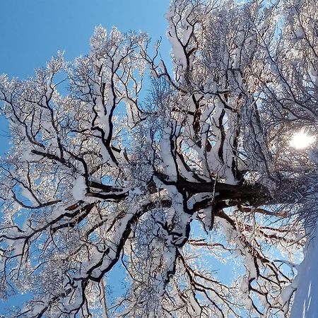 Appartement Montanea Schruns Bagian luar foto